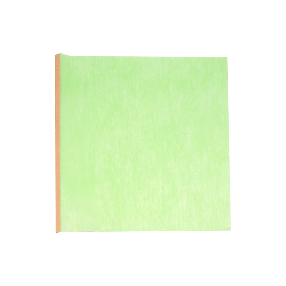 Allergen Filter  : CAC-F3010FW (CACF-FAL/US)