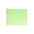 Allergen Filter : CAC-D2020FW (CACF-DAL/US)