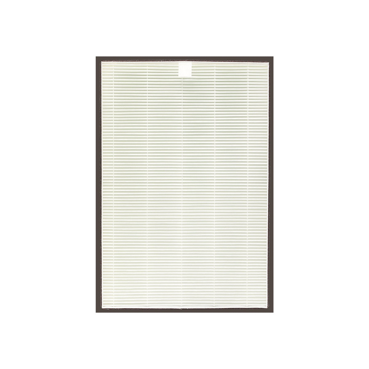 True HEPA H14 Filter : CAC-C1020FW (CACF-CHP14/US)